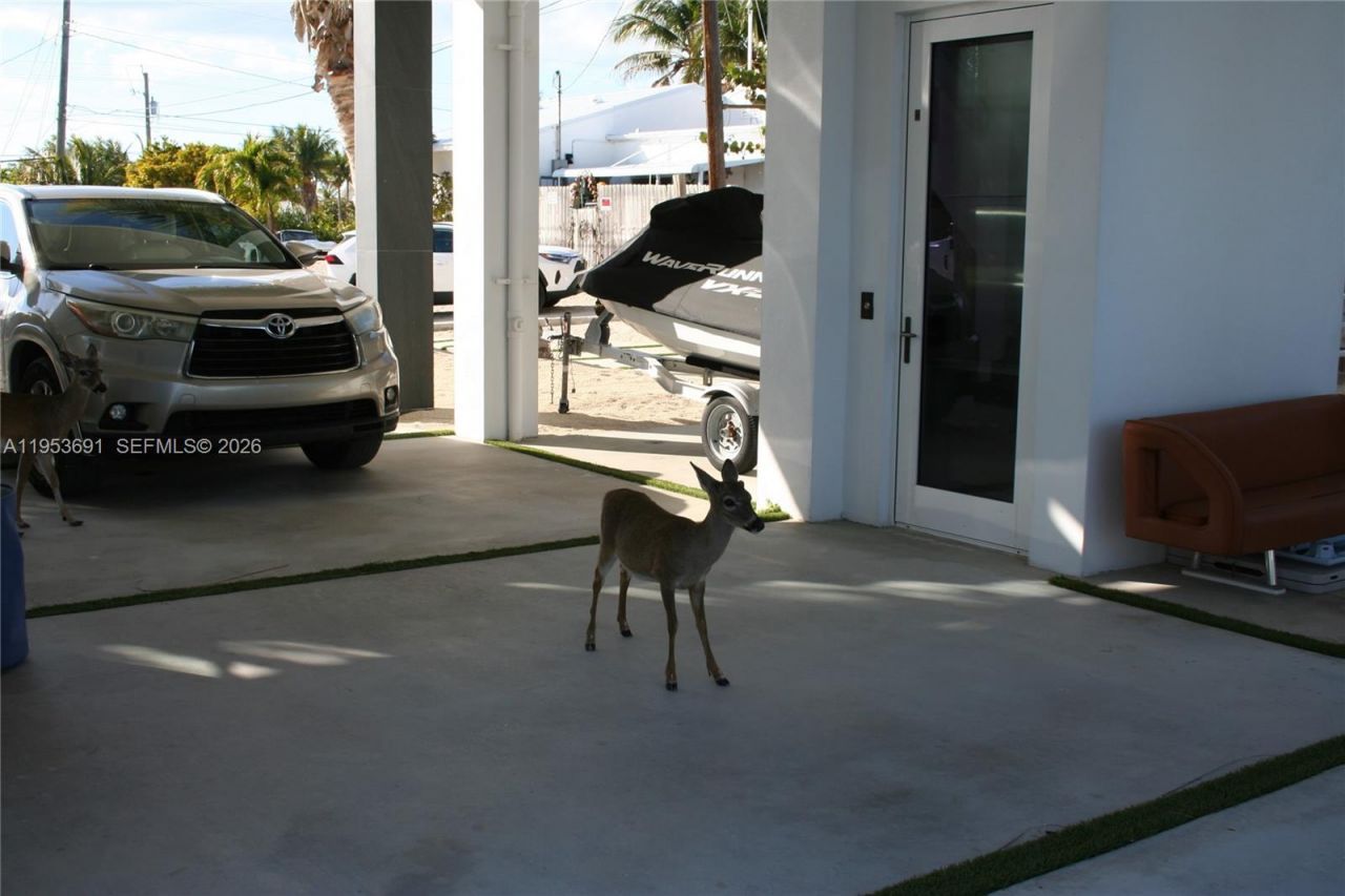 1553 Sunrise Dr , Big Pine Key, FL 33043 Photo