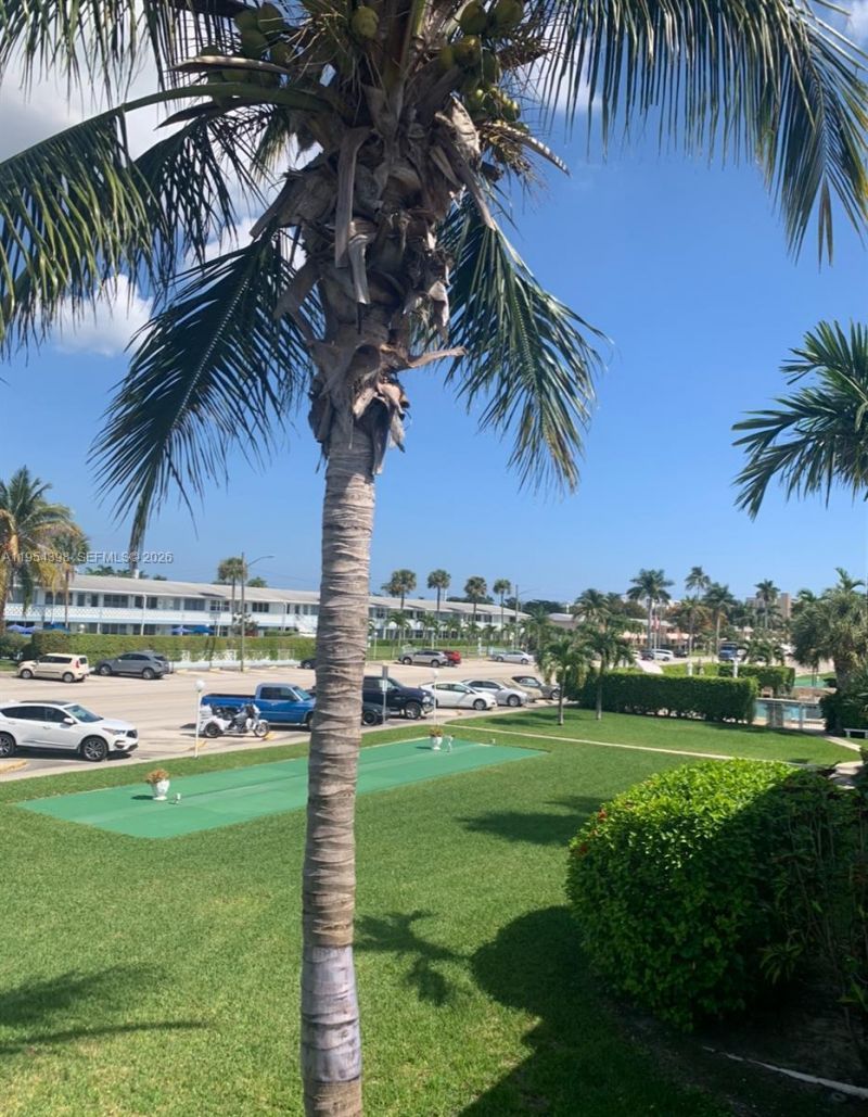 900 Atlantic Shores Blvd , Unit 133, Hallandale Beach, FL 33009 Photo