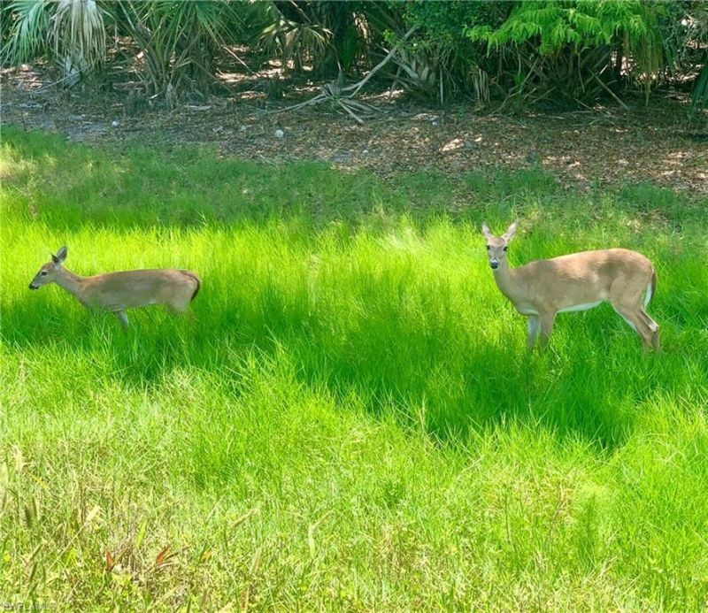 10523 Bella Vista Dr, Fort Myers, FL 33913 Photo