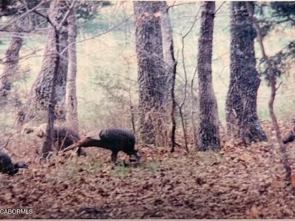 111 HWY BB, Iberia, MO 65486