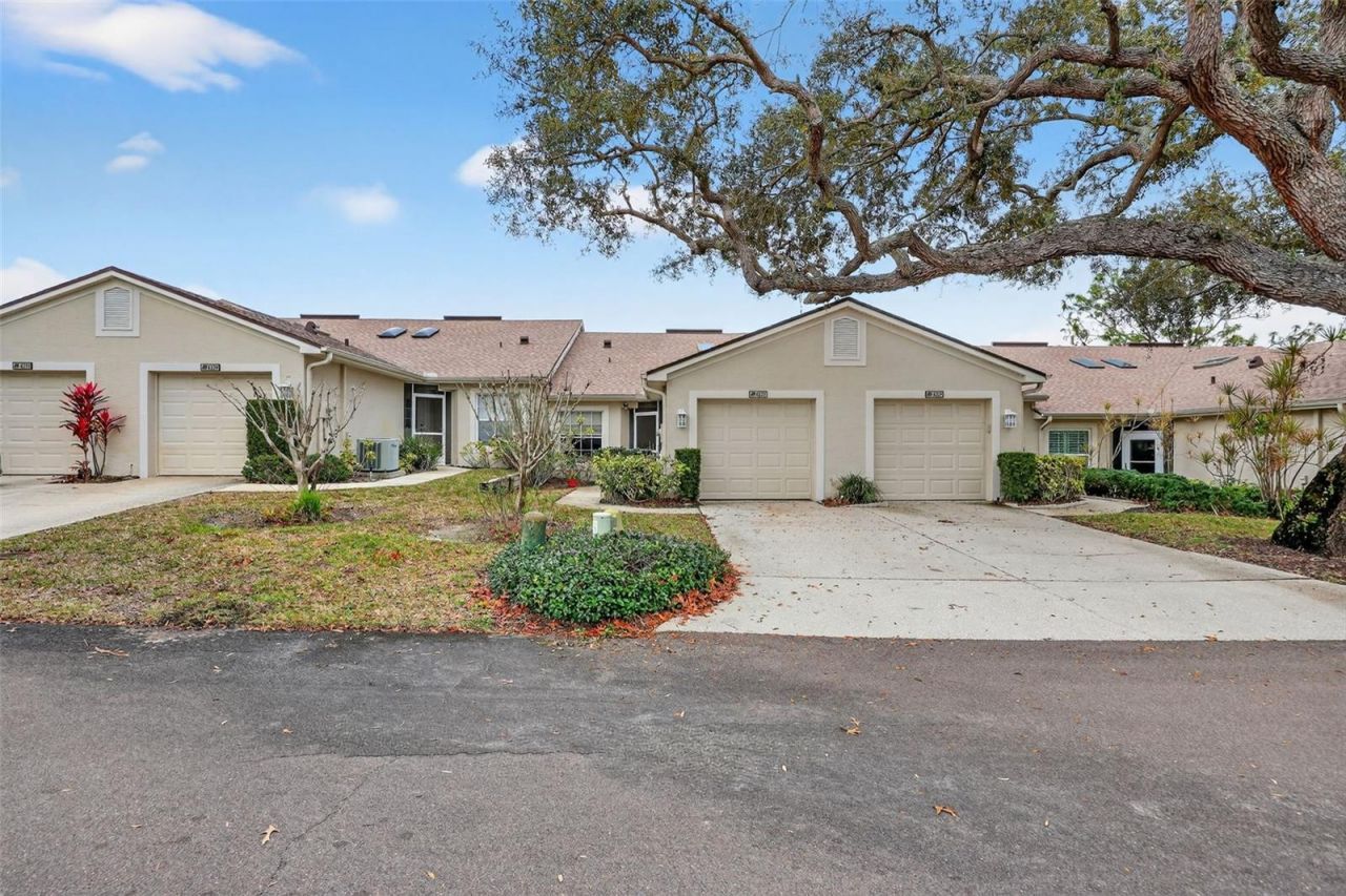 4207 Chesterfield Circle, Palm Harbor, FL 34683 Main Photo