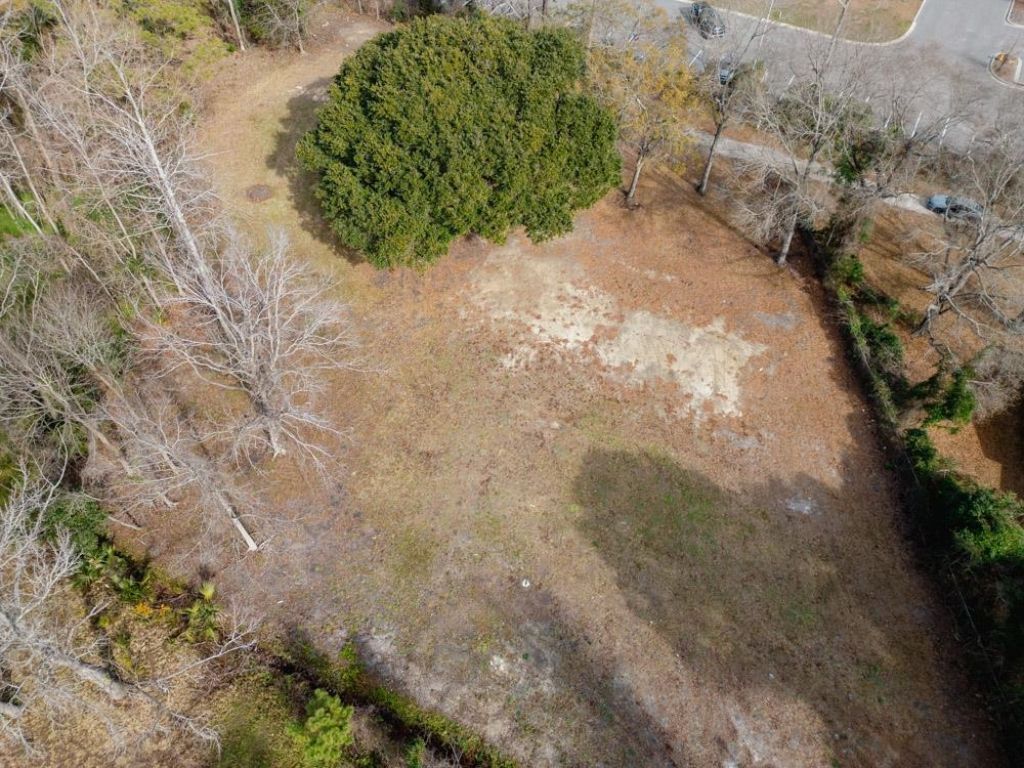 1327 Half Moon Ct. Photo 8