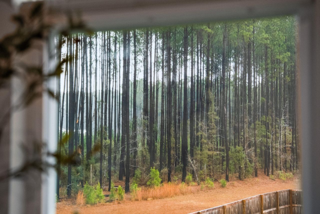 4459 Ocean Farm Drive Photo 20