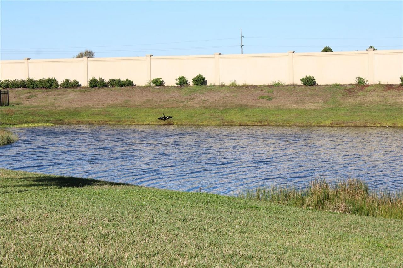 8232 Reefbay Cove, Parrish, FL 34219 Photo