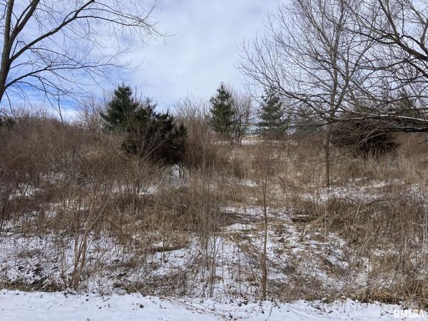 Lot 11 Fair Acres Drive, Monmouth, IL 61462