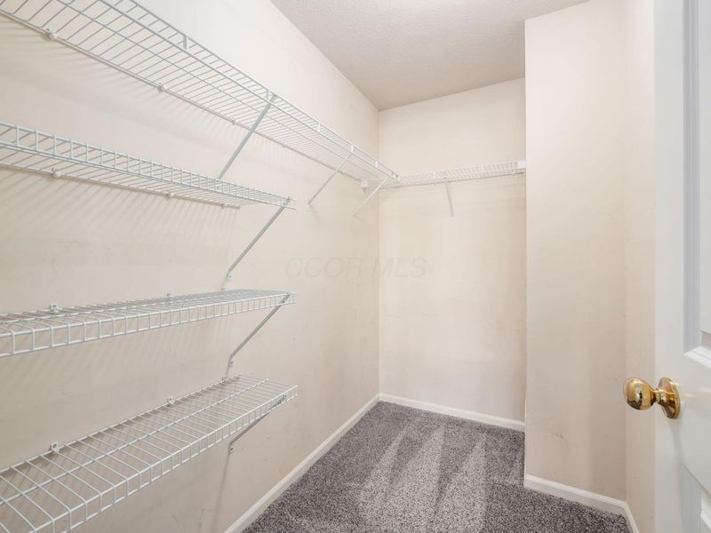 4969 Ivyvine Boulevard, Dublin, OH 43016 Photo 12