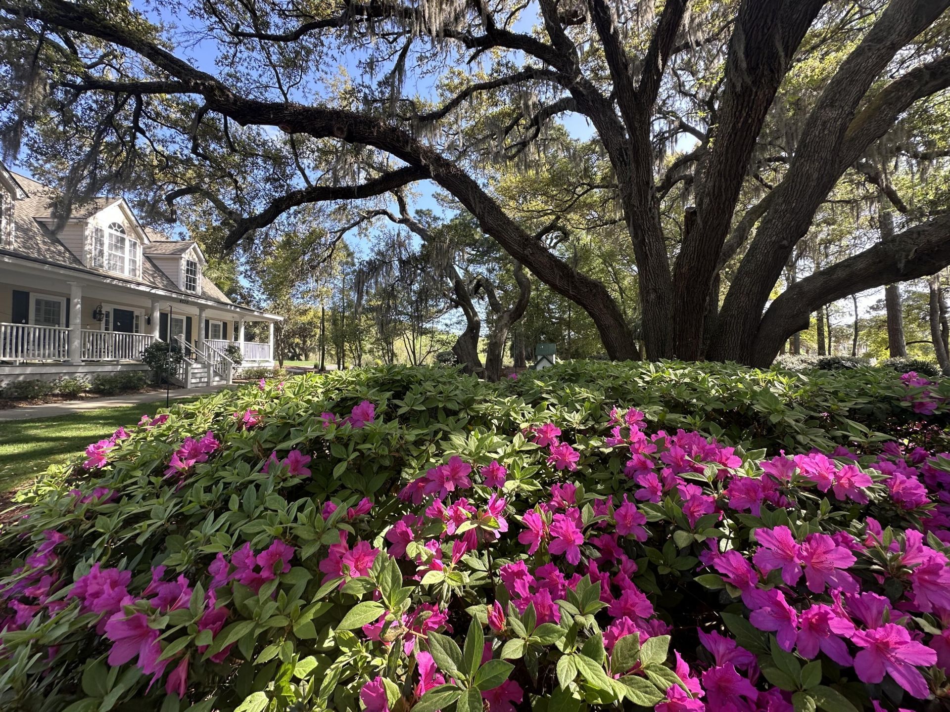 2866 Maritime Forest Drive Photo 23