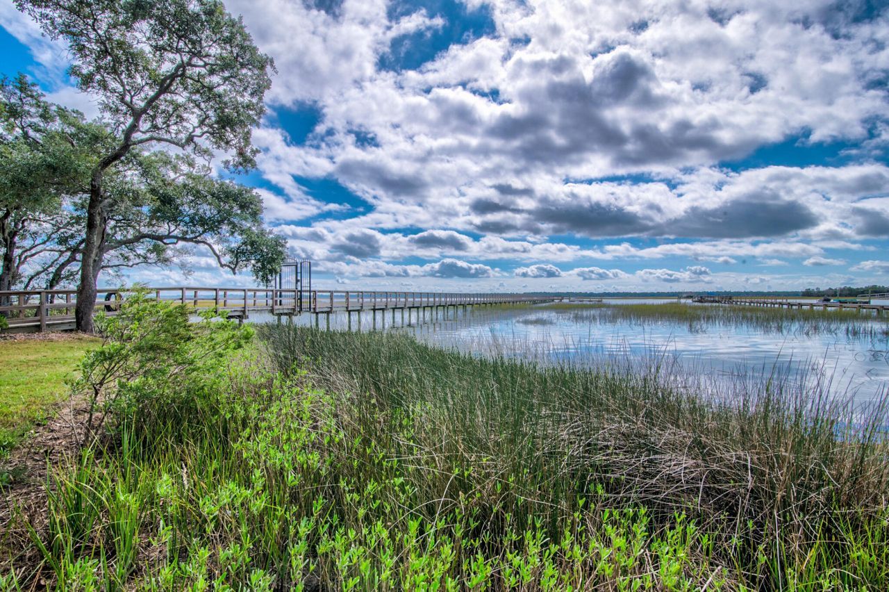 2866 Maritime Forest Drive Photo 41