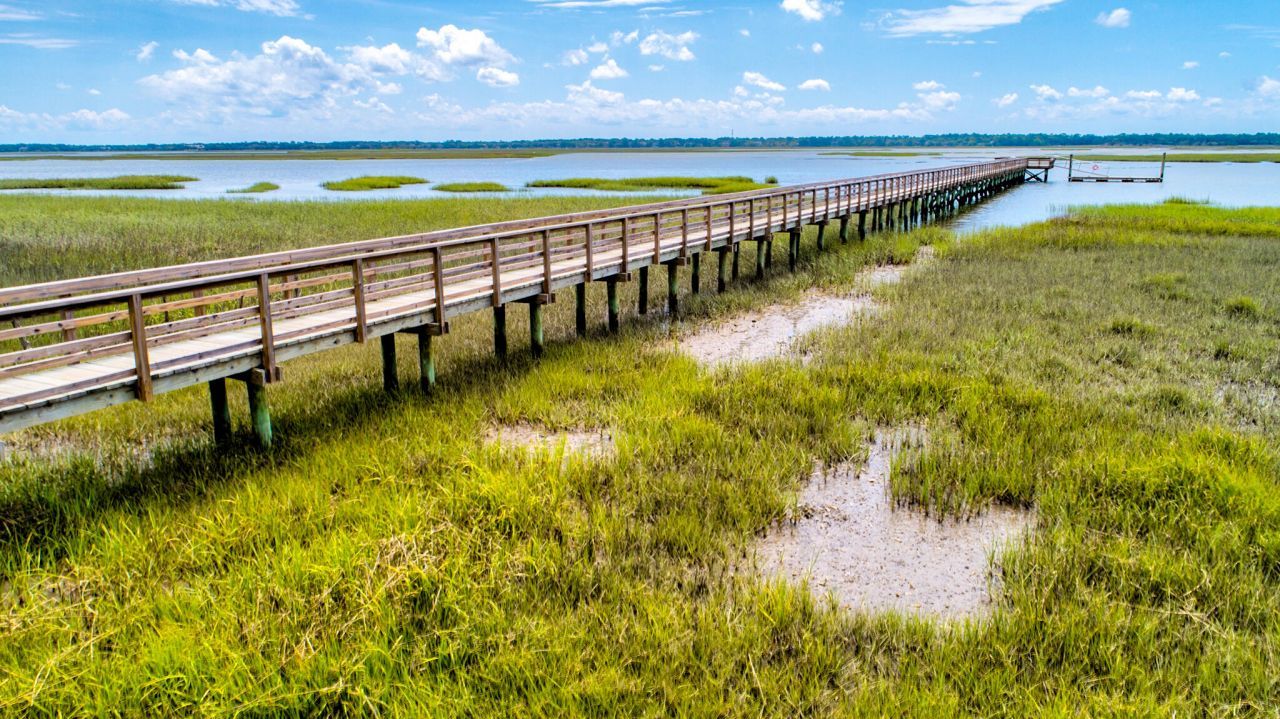 2866 Maritime Forest Drive Photo 42