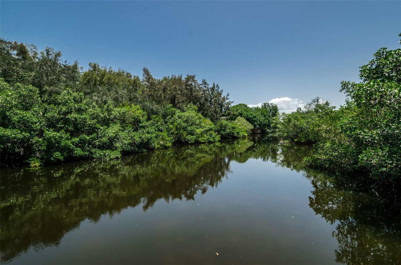 990 San Carlos Court Ne, Saint Petersburg, FL 33702 Photo