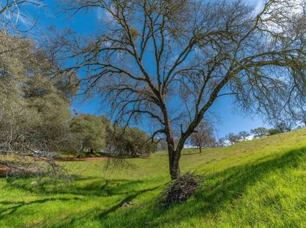 Gods Hill Rd., Amador City, CA 95601 Photo