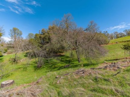 Gods Hill Rd., Amador City, CA 95601 Photo