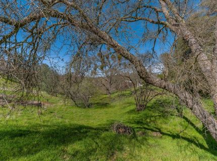 Gods Hill Rd., Amador City, CA 95601 Photo