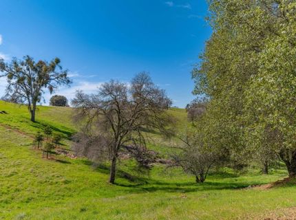 Gods Hill Rd., Amador City, CA 95601 Photo