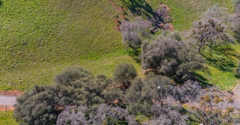 Gods Hill Rd., Amador City, CA 95601 Photo