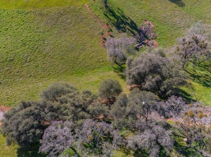 Gods Hill Rd., Amador City, CA 95601 Photo