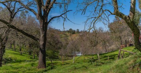 Gods Hill Rd., Amador City, CA 95601 Photo