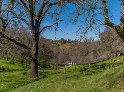 Gods Hill Rd., Amador City, CA 95601 Photo