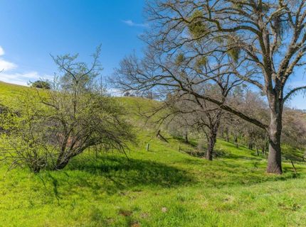 Gods Hill Rd., Amador City, CA 95601 Photo