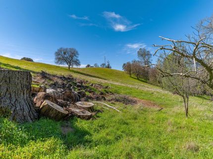 Gods Hill Rd., Amador City, CA 95601 Photo