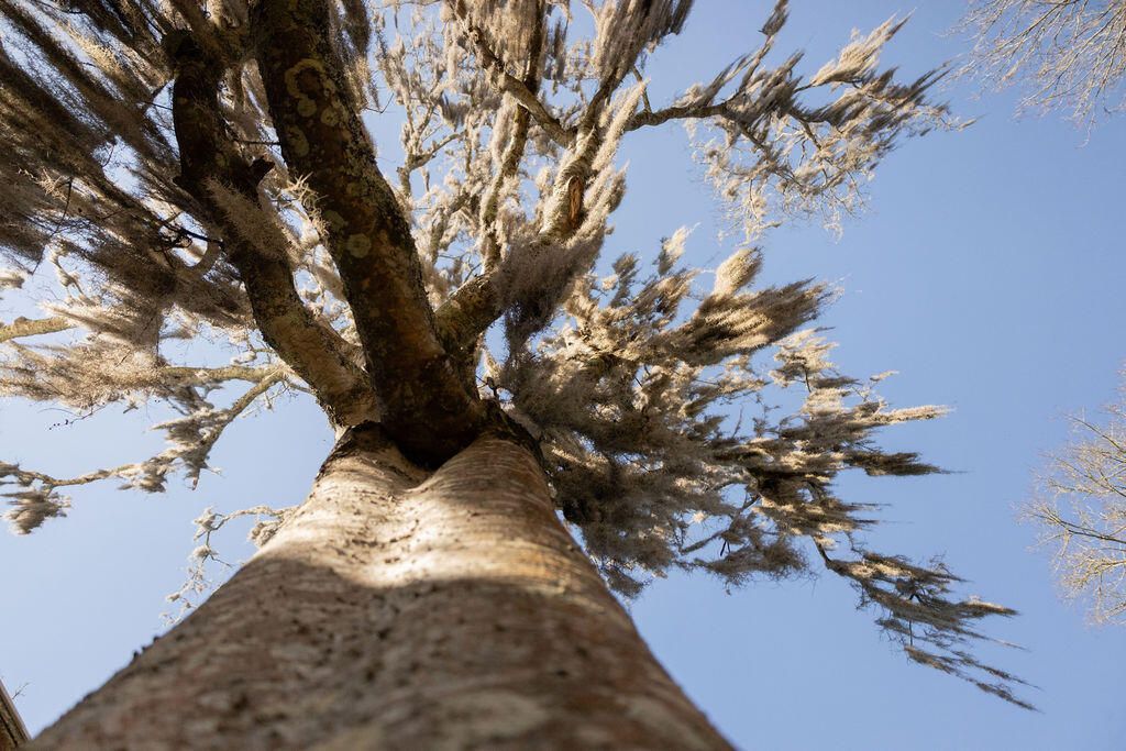 449 E Washington Street  Photo 7