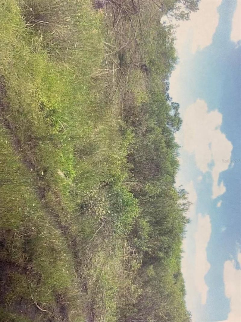 0 Simpson Road, Kissimmee, FL 34744 Photo