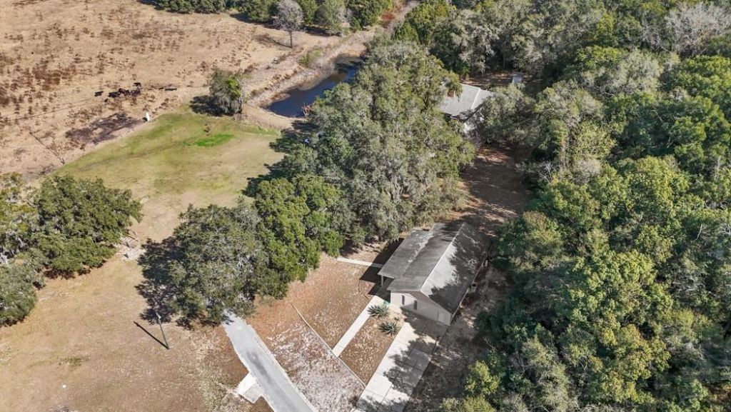 19621 Lake Lincoln Lane, Eustis, FL 32736 Photo