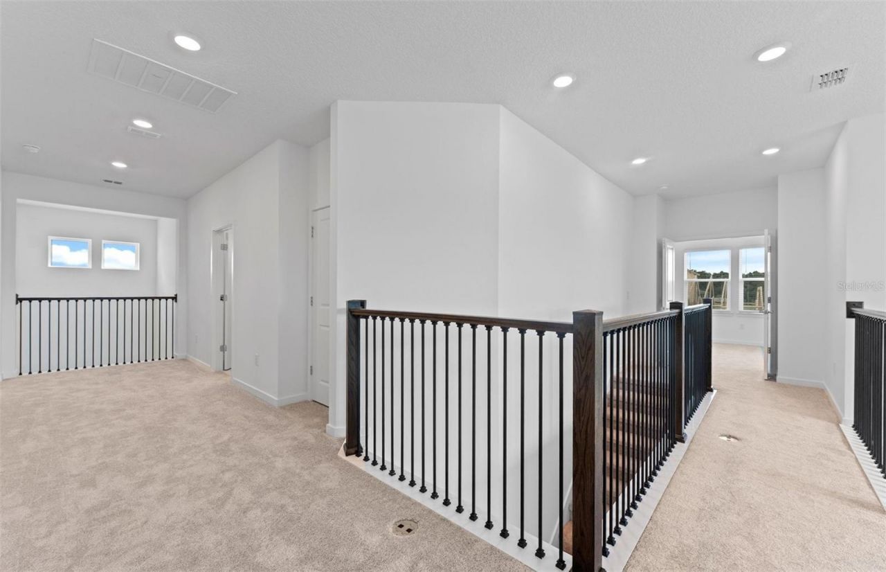 6926 Gilly Shadow Street, Wesley Chapel, FL 33545 Photo