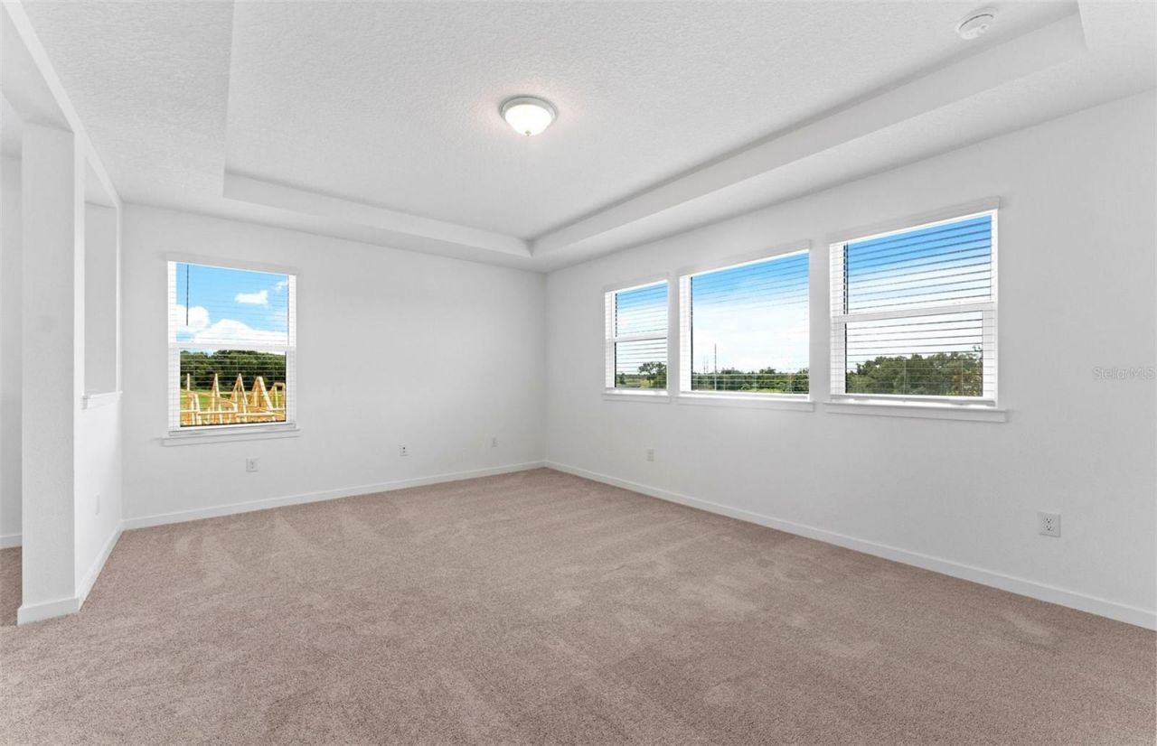 6926 Gilly Shadow Street, Wesley Chapel, FL 33545 Photo