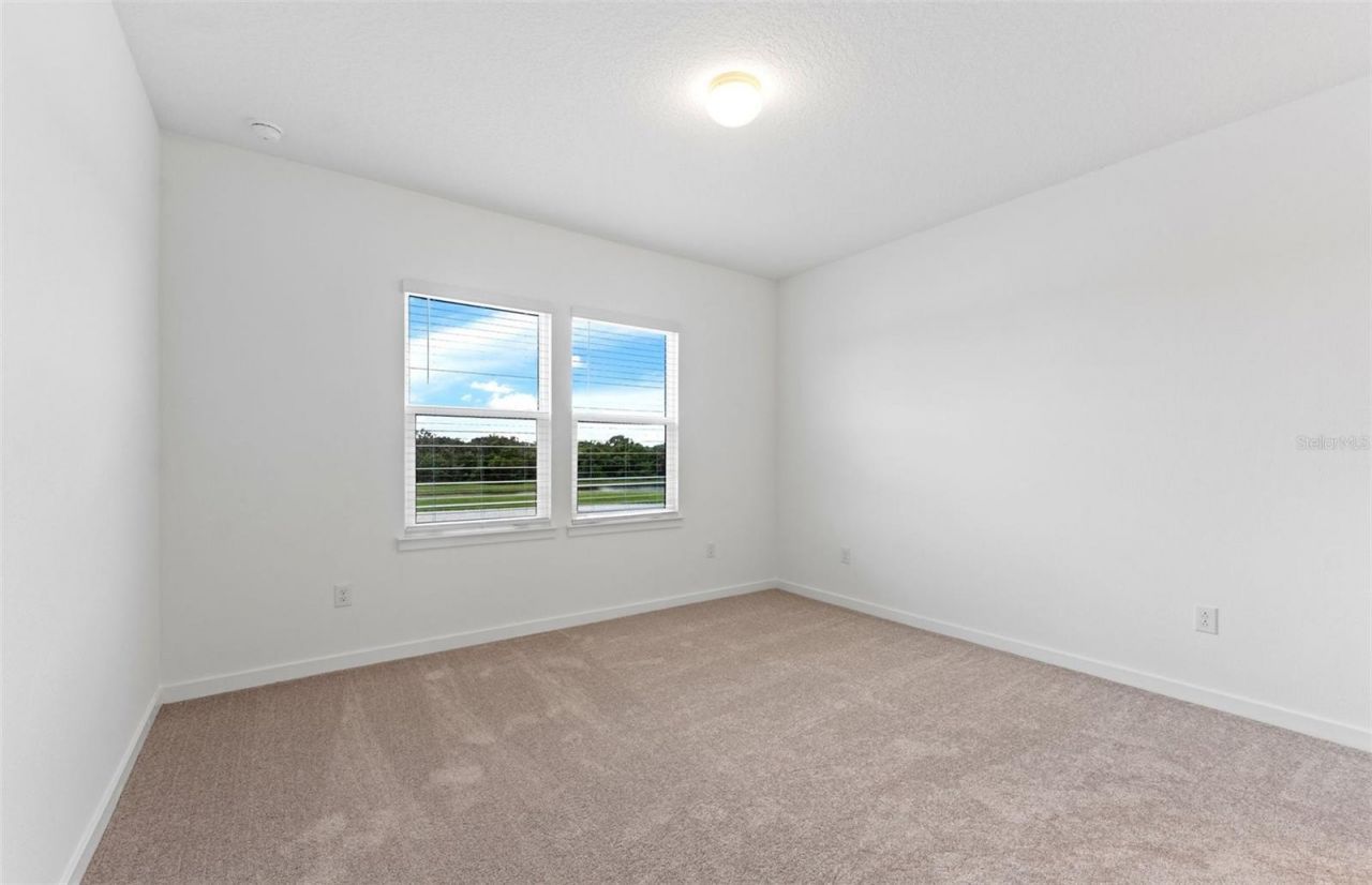 6926 Gilly Shadow Street, Wesley Chapel, FL 33545 Photo
