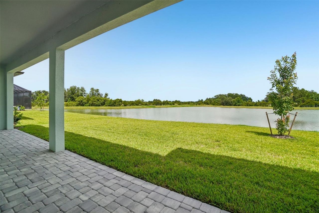 6926 Gilly Shadow Street, Wesley Chapel, FL 33545 Photo