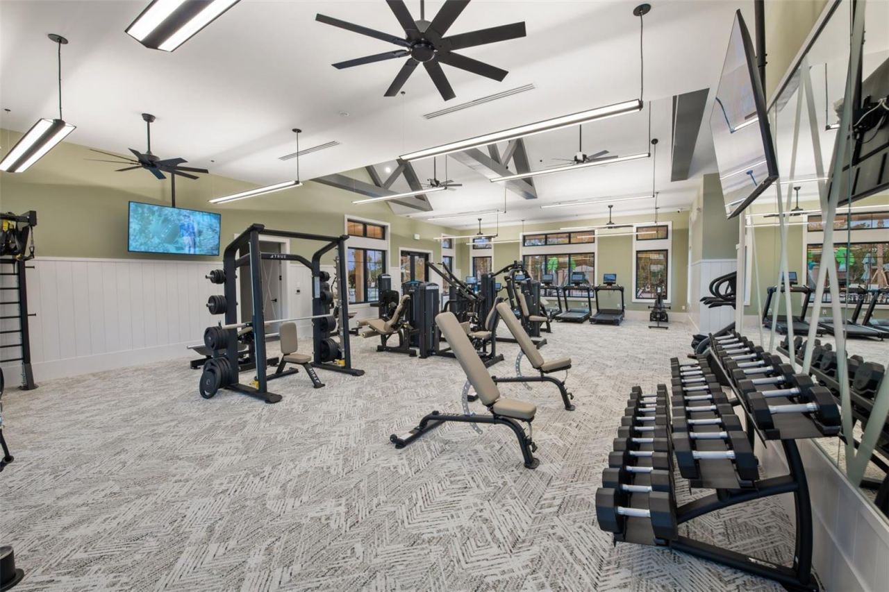 6926 Gilly Shadow Street, Wesley Chapel, FL 33545 Photo