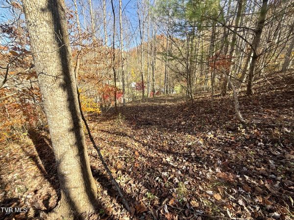 11/Ac State Highway 37 (Hwy 19e), Hampton, TN 37658