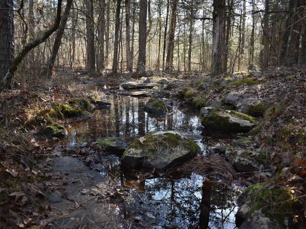 0000 HWY 22, Delaware, AR 72835