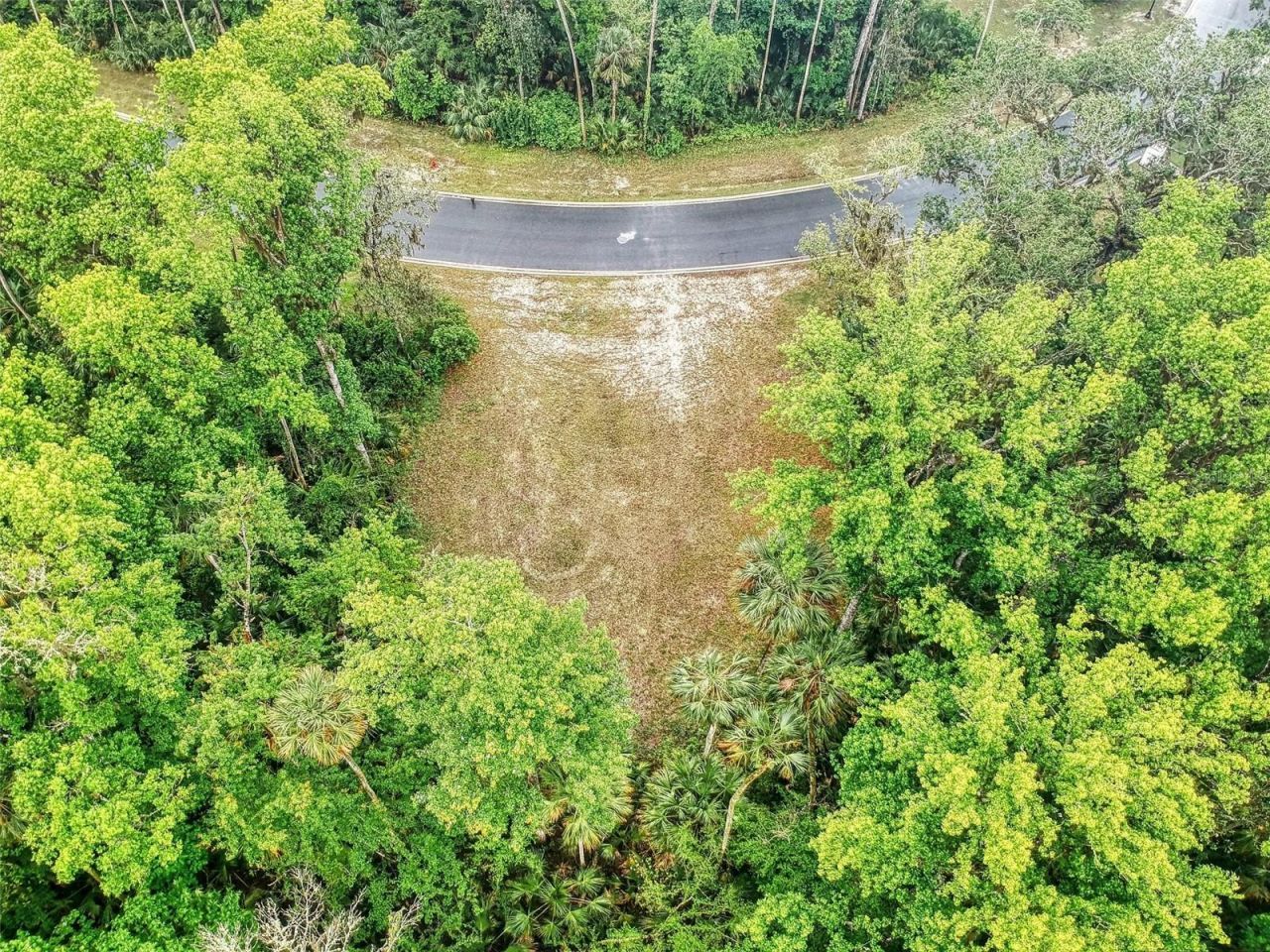 2327 & 2329 Legacy Lane, New Smyrna Beach, FL 32168 Photo