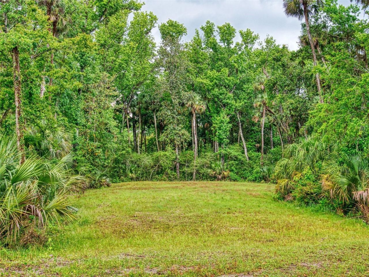 2327 & 2329 Legacy Lane, New Smyrna Beach, FL 32168 Photo