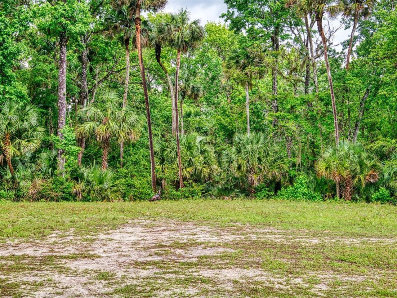 2327 Legacy Lane, New Smyrna Beach, FL 32168 Photo