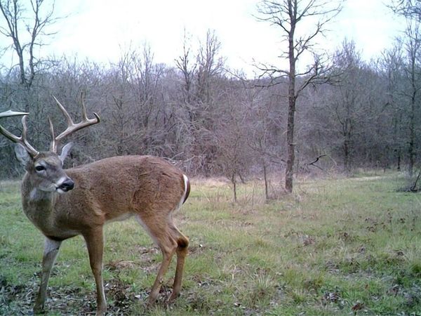 141 County Road 2349 , Richland, TX 76681