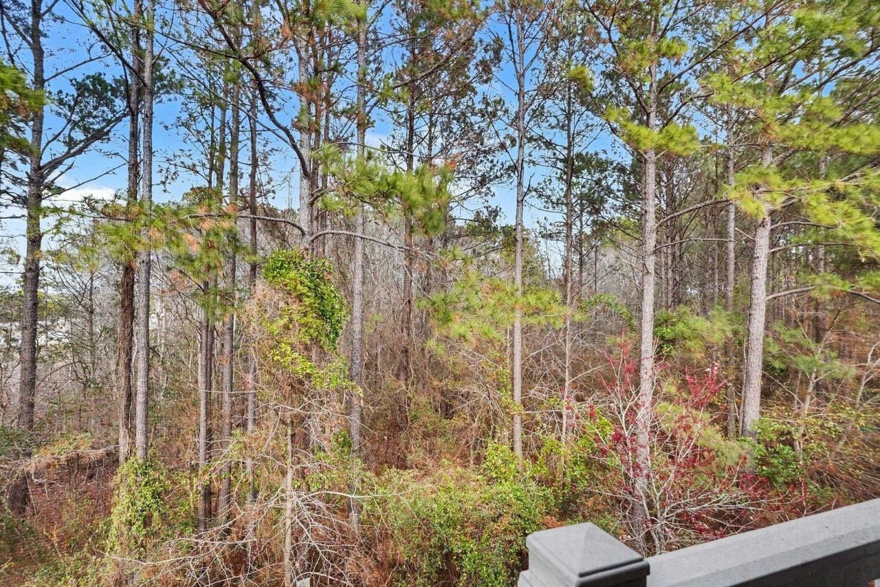 6253 Catalina Dr. Photo 26