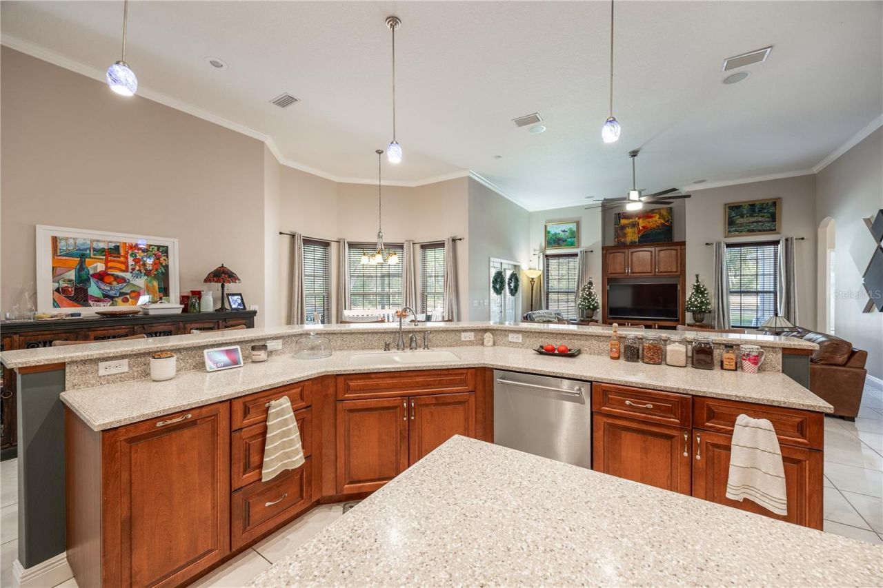 163 NW Amber Court, Lake City, FL 32055 Photo