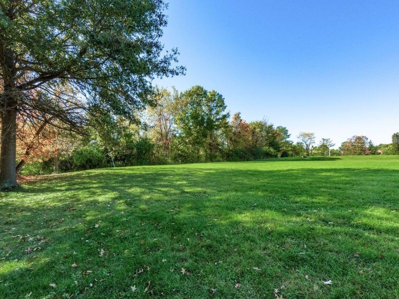 9083 Tartan Fields Drive, Dublin, OH 43017 Photo 92