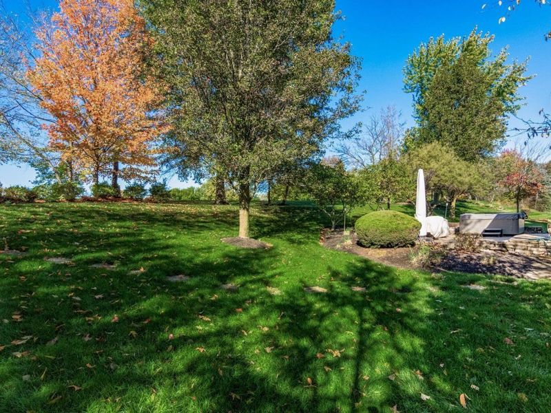 9083 Tartan Fields Drive, Dublin, OH 43017 Photo 94