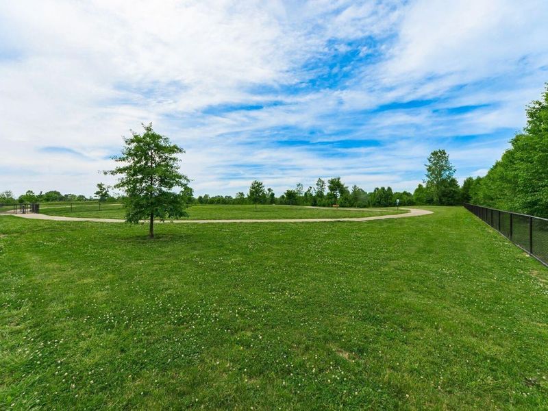 4920 Meadow Run Drive, Hilliard, OH 43026 Photo 28