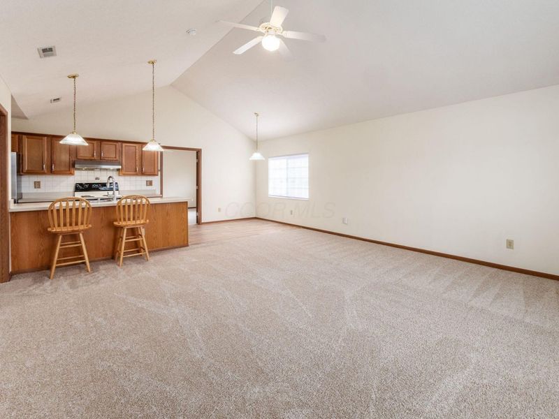 4920 Meadow Run Drive, Hilliard, OH 43026 Photo 4