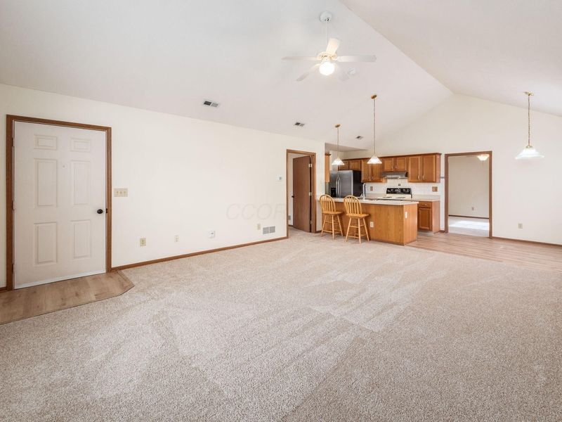 4920 Meadow Run Drive, Hilliard, OH 43026 Photo 6