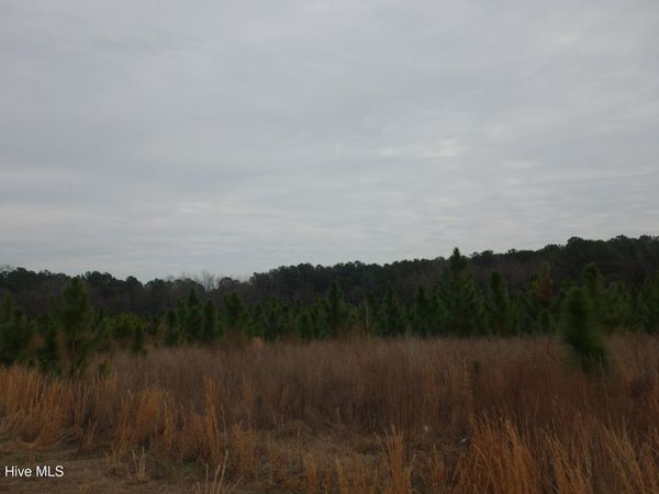 Lot 29 Stuarts Mill Road, Fairmont, NC 28340