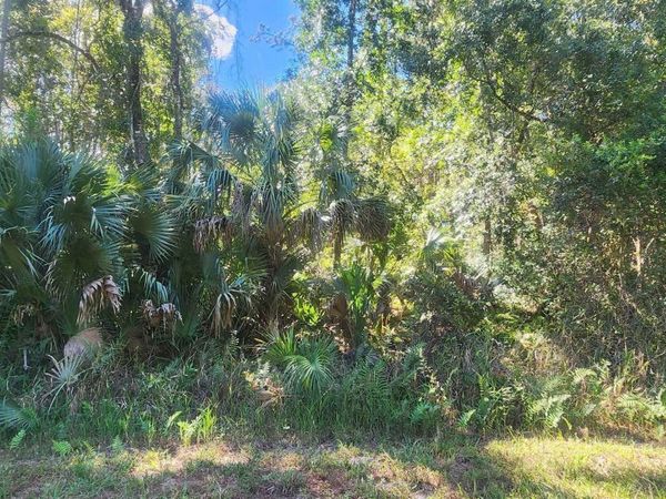 427 Dogwood Ave, Georgetown, FL 32139