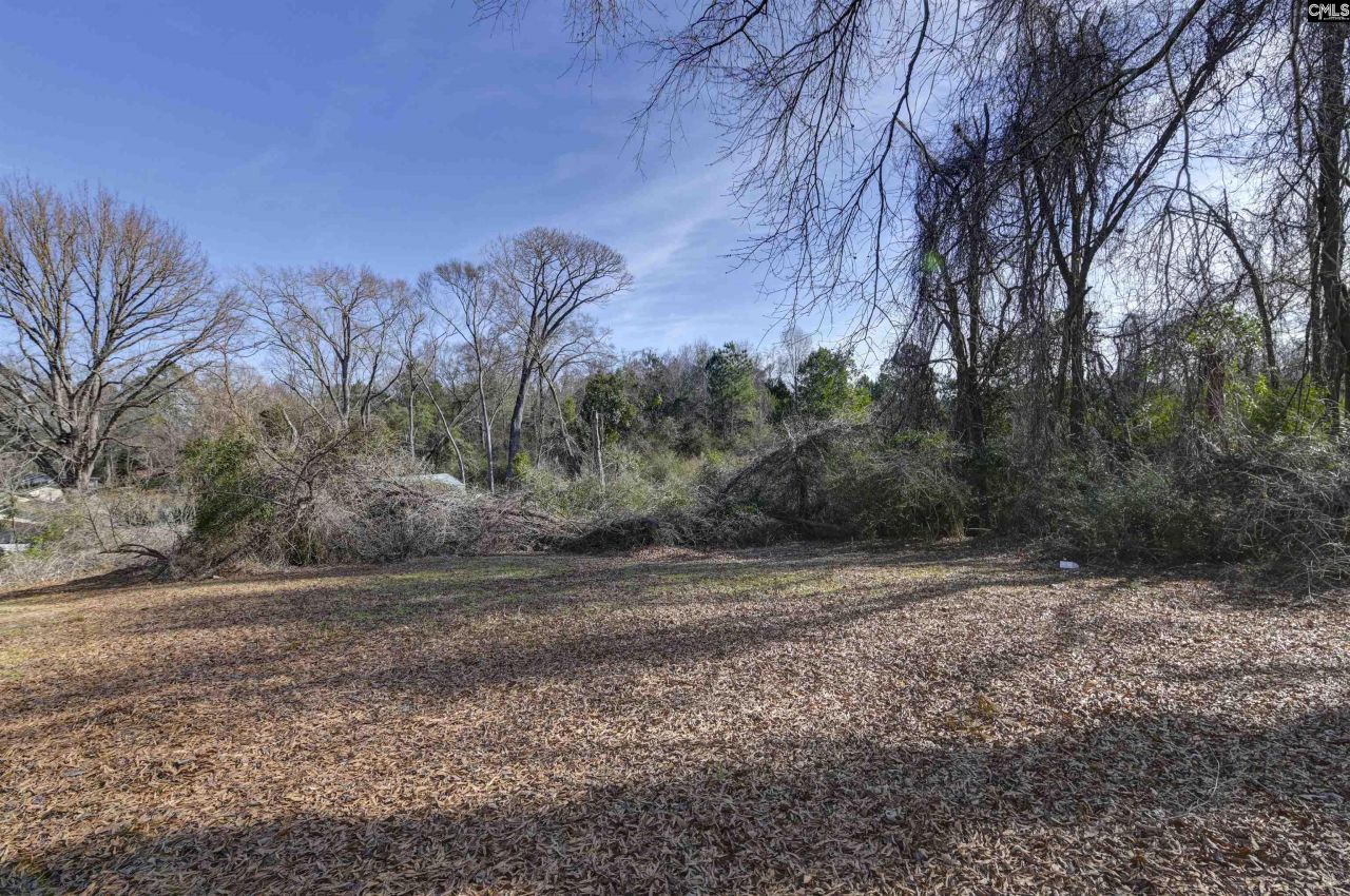 315 Forest Hills Drive  Photo 9