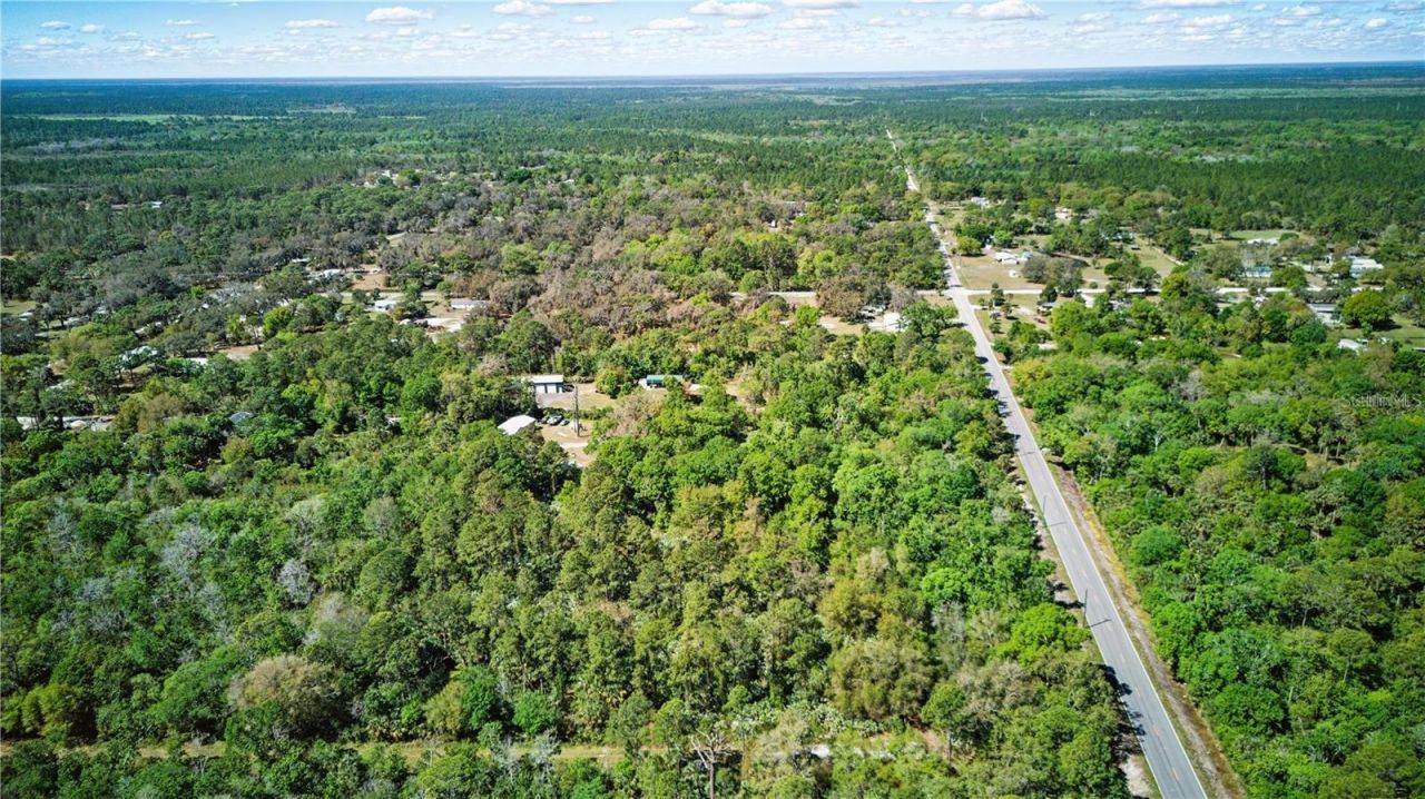 Harrison Rd, Mims, FL 32754 Photo