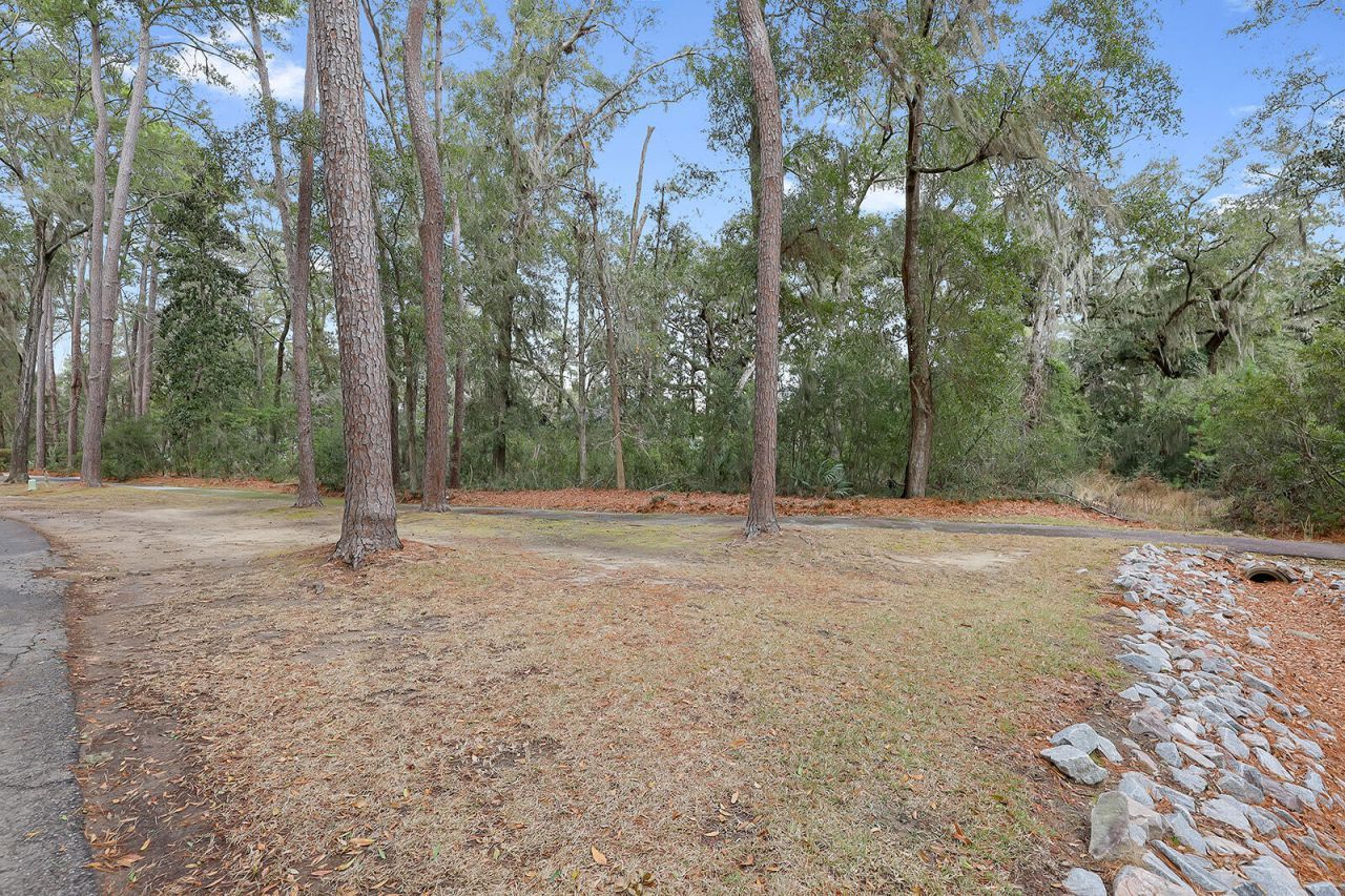 175 Bull Point Drive Photo 10